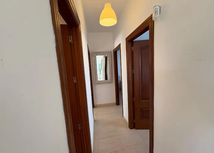 Queen Papagayo Vetusta *