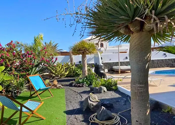 Queen Papagayo Vetusta *