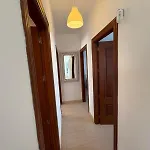 Queen Papagayo Vetusta *